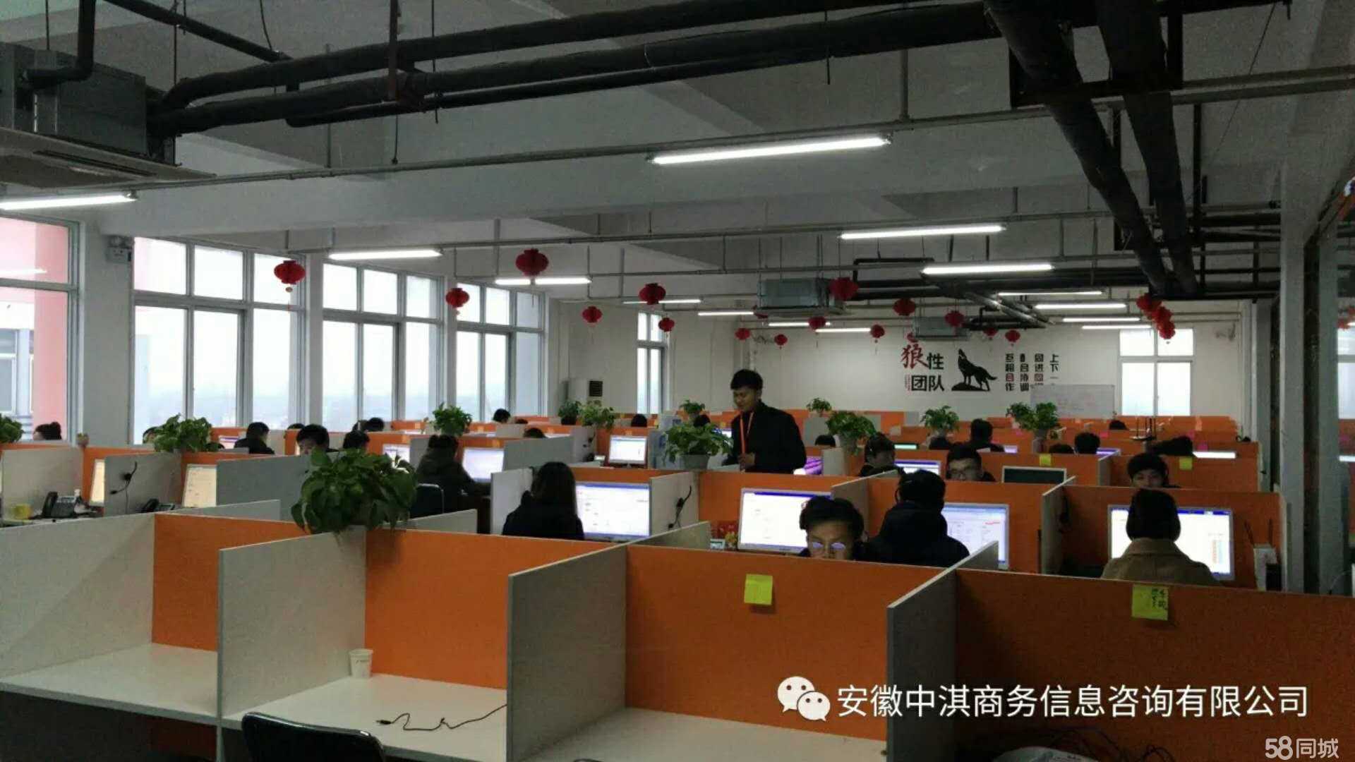 專業(yè)賦能，智慧同行——安徽中淇商務(wù)信息咨詢服務(wù)解析